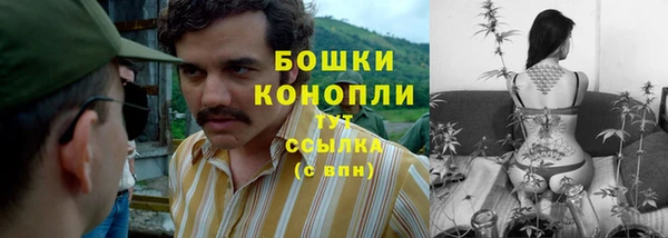 крисы Пересвет