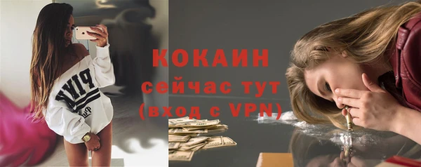 крисы Пересвет