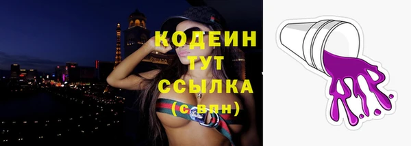 крисы Пересвет
