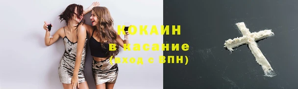 крисы Пересвет