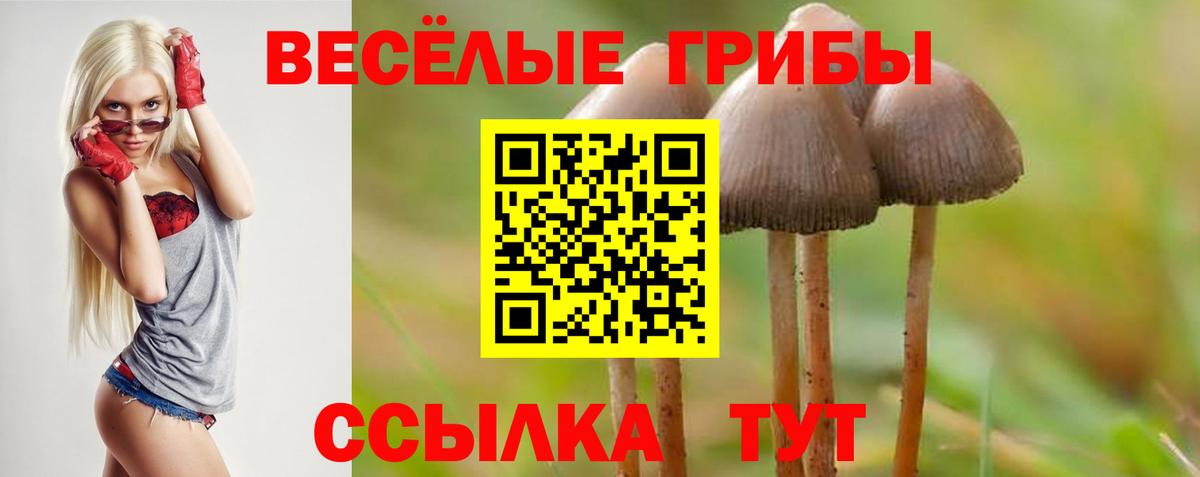 Галлюциногенные грибы Psilocybine cubensis Семилуки